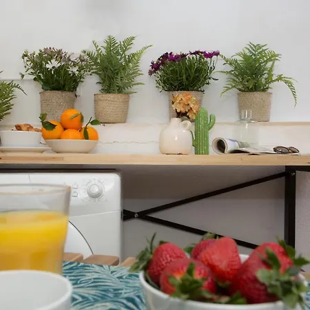 Singularstays Quevedo Ii * Valenza